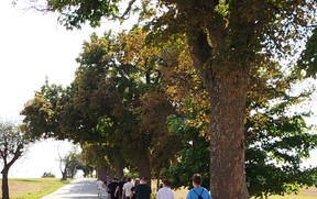 IMG_20250908_155558