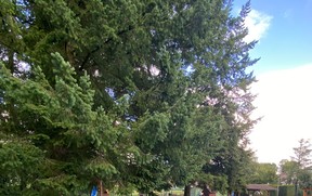 IMG-20250911-WA0008