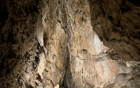 IMG_1039
