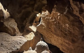 IMG_1038